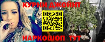 мяу мяу мука Партизанск