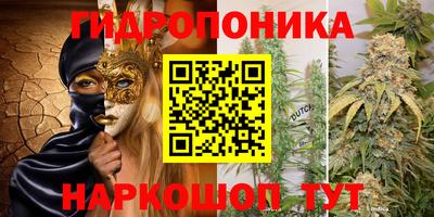 мяу мяу мука Партизанск