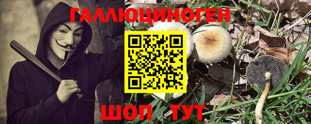 Реутов  Псилоцибиновые грибы Psilocybe  Галлюциногенные грибы мицелий  Вход с VPN 